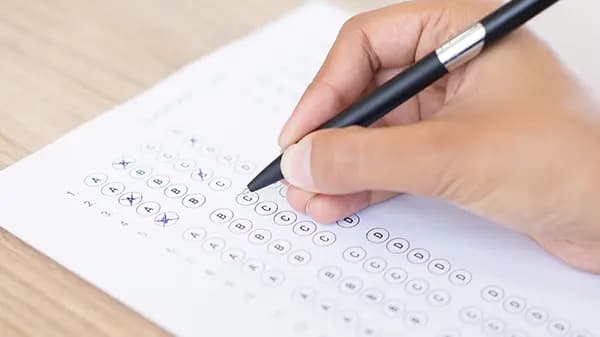 NAPLAN Year 3 Exam Guide and Past Papers