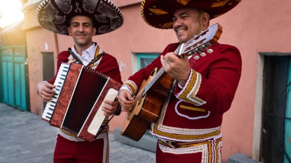 Best vocal coaches for Folk