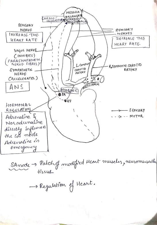 Biology learning materials by Anjali 