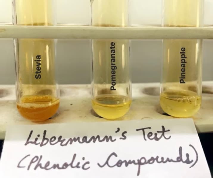 Live performance with Chemistry by Mannat