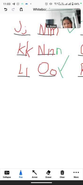 Grace conducting a lesson