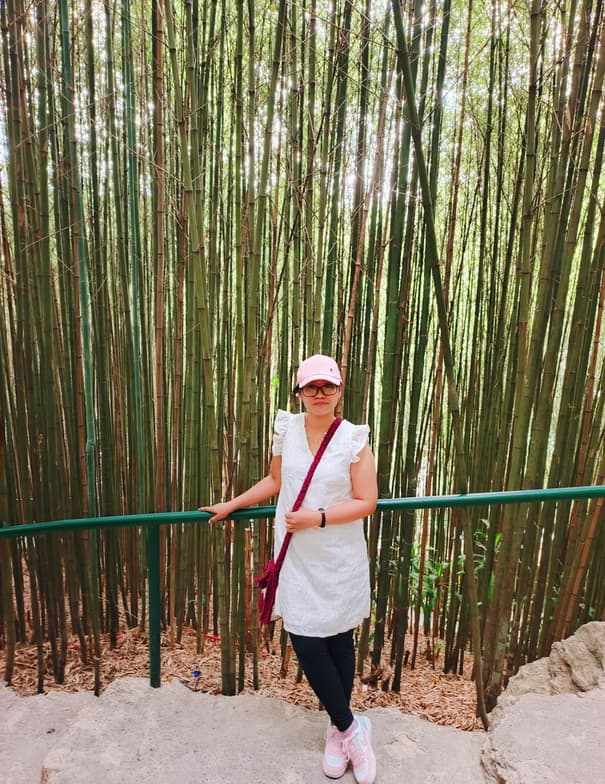 Travel snapshot of JEHOBA  during a trip 