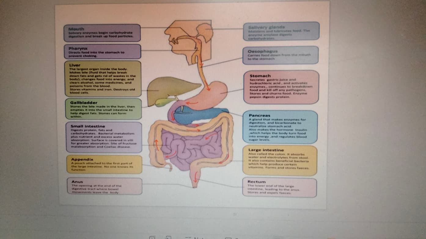 Live performance with Biology by Srikhar  