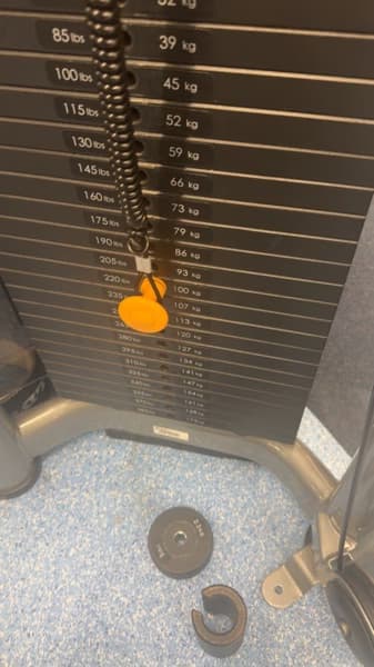 Salmahenjoying a hobby outside teaching 