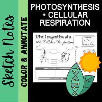 Casual photos of Evangelene, Wiingy tutor 