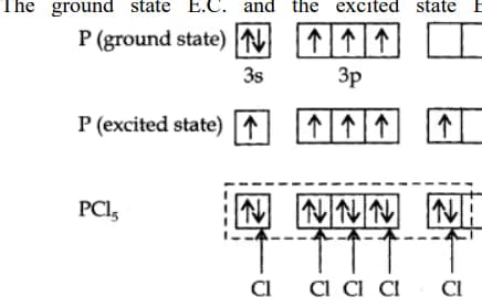 Live performance with Chemistry by Bhavika  