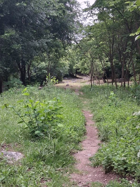 Travel snapshot of Yael during a trip 