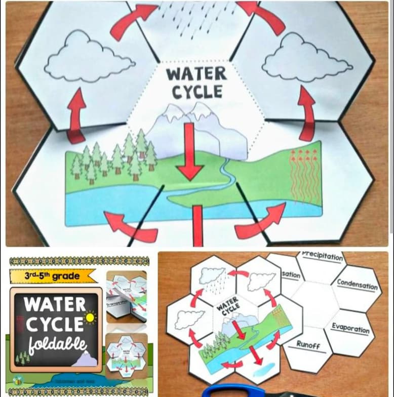 Biology learning materials by Sherry Ann