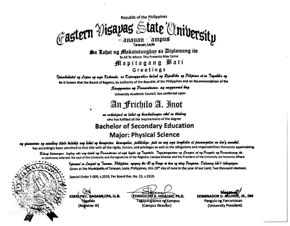 Verified degree or teaching certification of An Frichilo