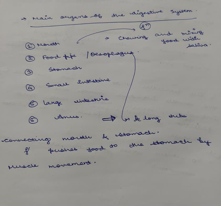 Science learning materials by Sonal