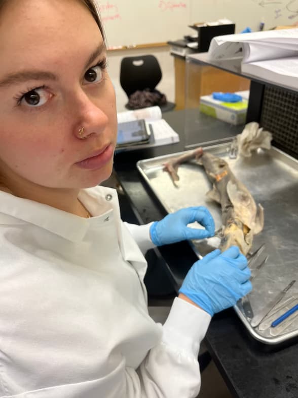 Casual photos of Madeleine, Wiingy tutor 