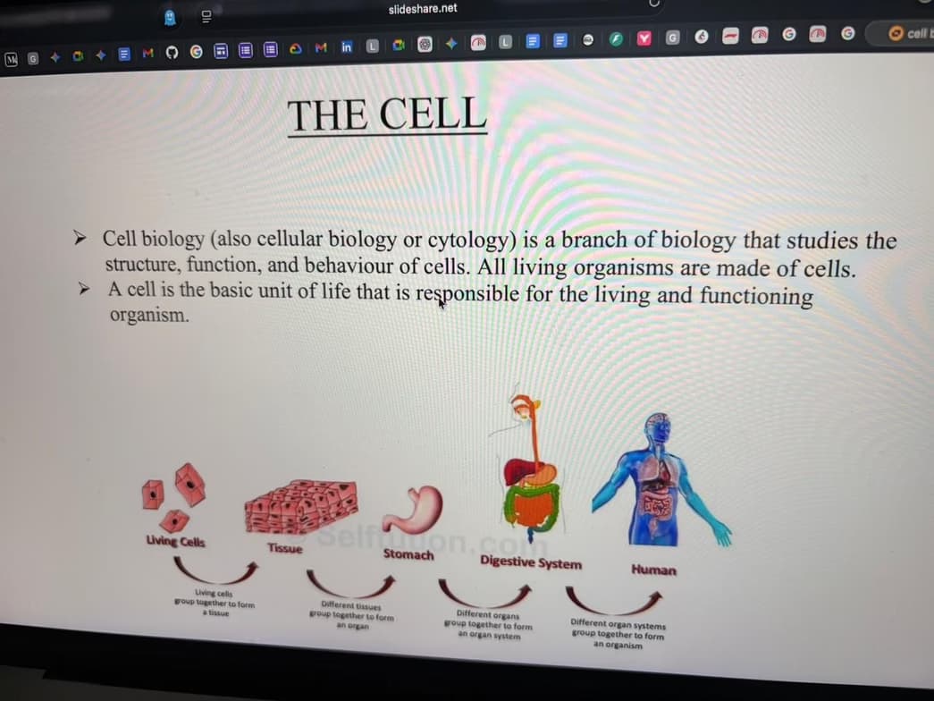Biology learning materials by Khushi 
