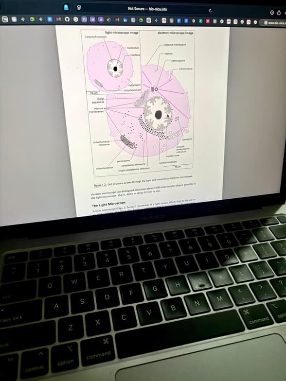 Live performance with Biology by Khushi 