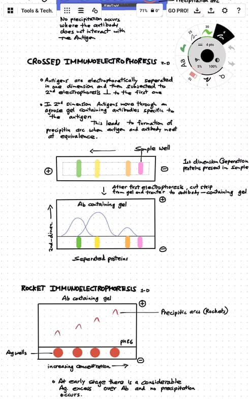 Live performance with Biology by Sunal 