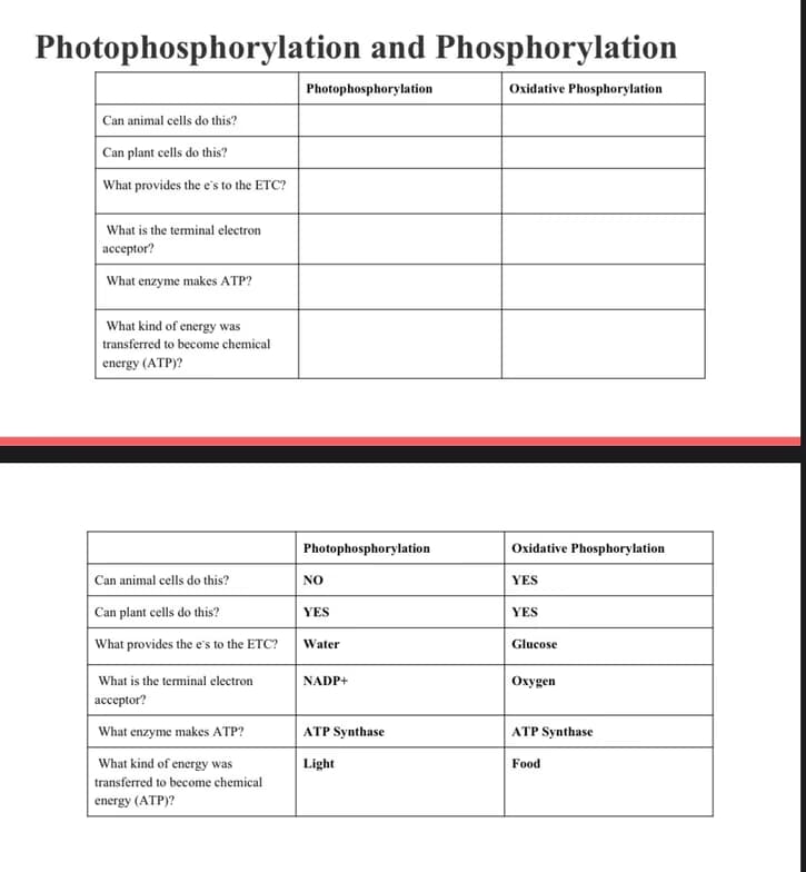 AP learning materials by Owen 