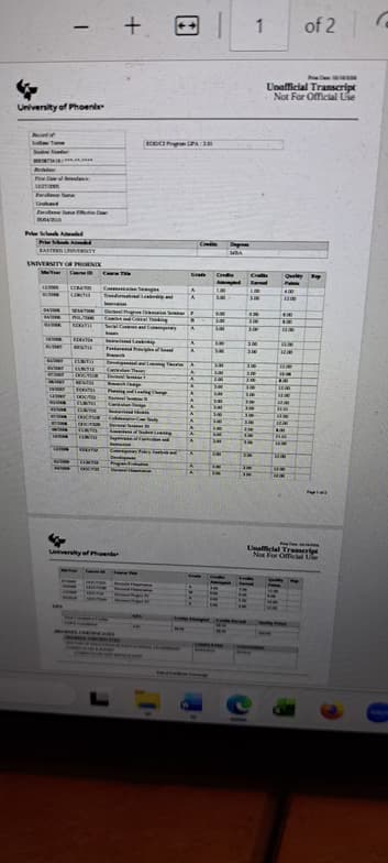 Verified degree or teaching certification of Ivelisse 