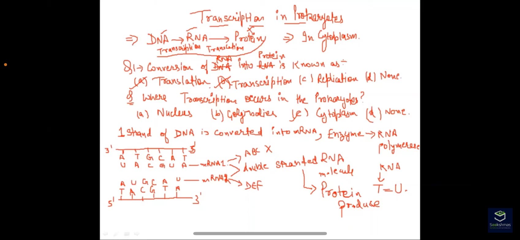 Live performance with Biology by TAMANNA 