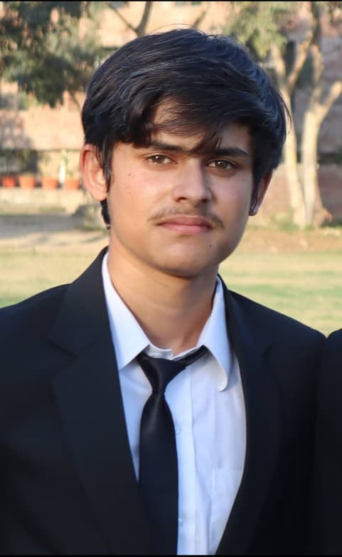 Profile photo of Anmol , Mathematics tutor at Wiingy 