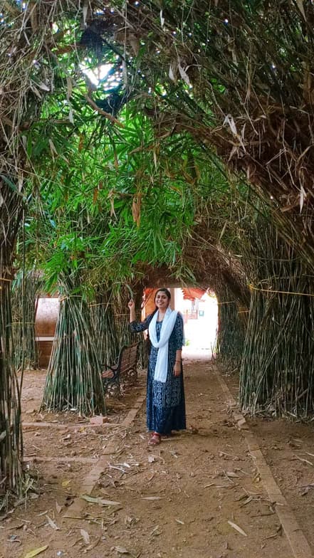 Profile photo of Duithi, Physics tutor at Wiingy