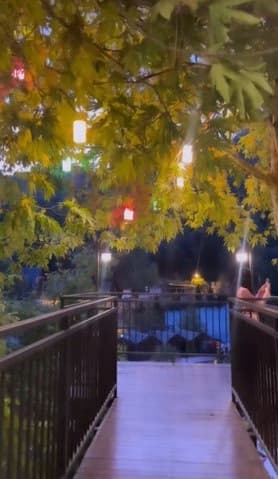 Travel snapshot of Yalda during a trip 