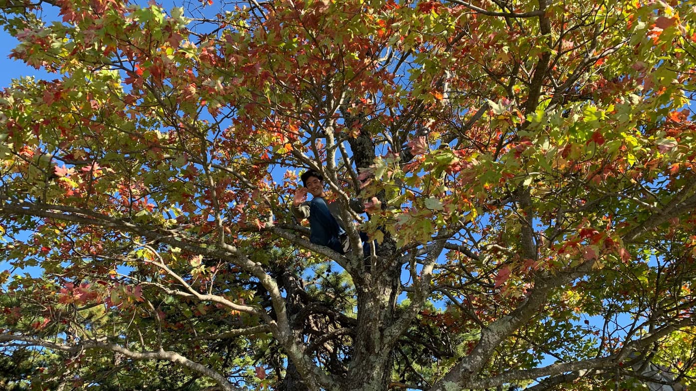 Profile photo of Ben, Piano tutor at Wiingy 