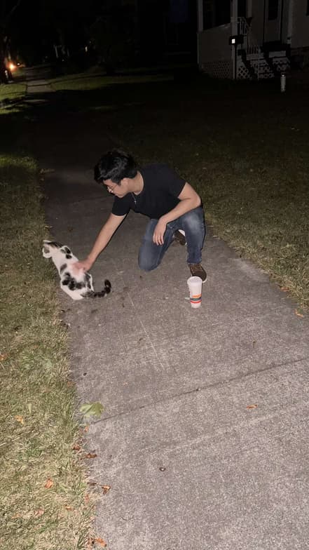 Profile photo of Ben, Piano tutor at Wiingy 