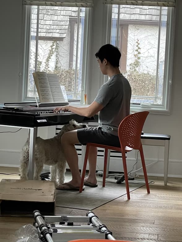 Profile photo of Ben, Piano tutor at Wiingy 