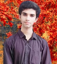 Profile photo of Sai , English tutor at Wiingy 