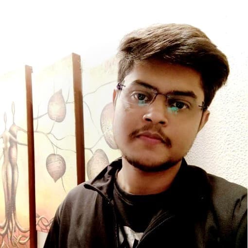 Profile photo of Shahryar, Computer Science tutor at Wiingy 