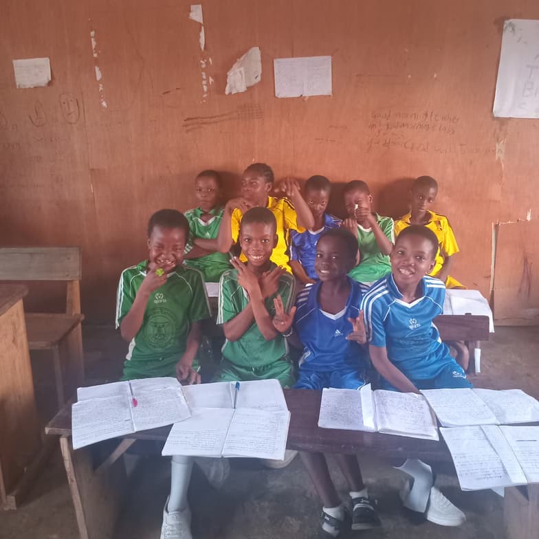 Profile photo of Emmanuel , Mathematics tutor at Wiingy 