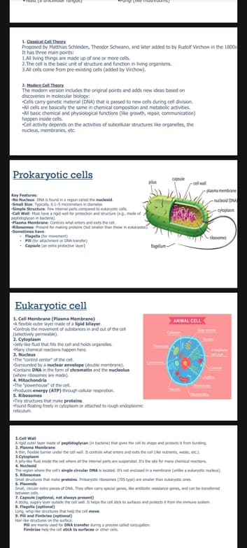 Biology learning materials by Srishti  
