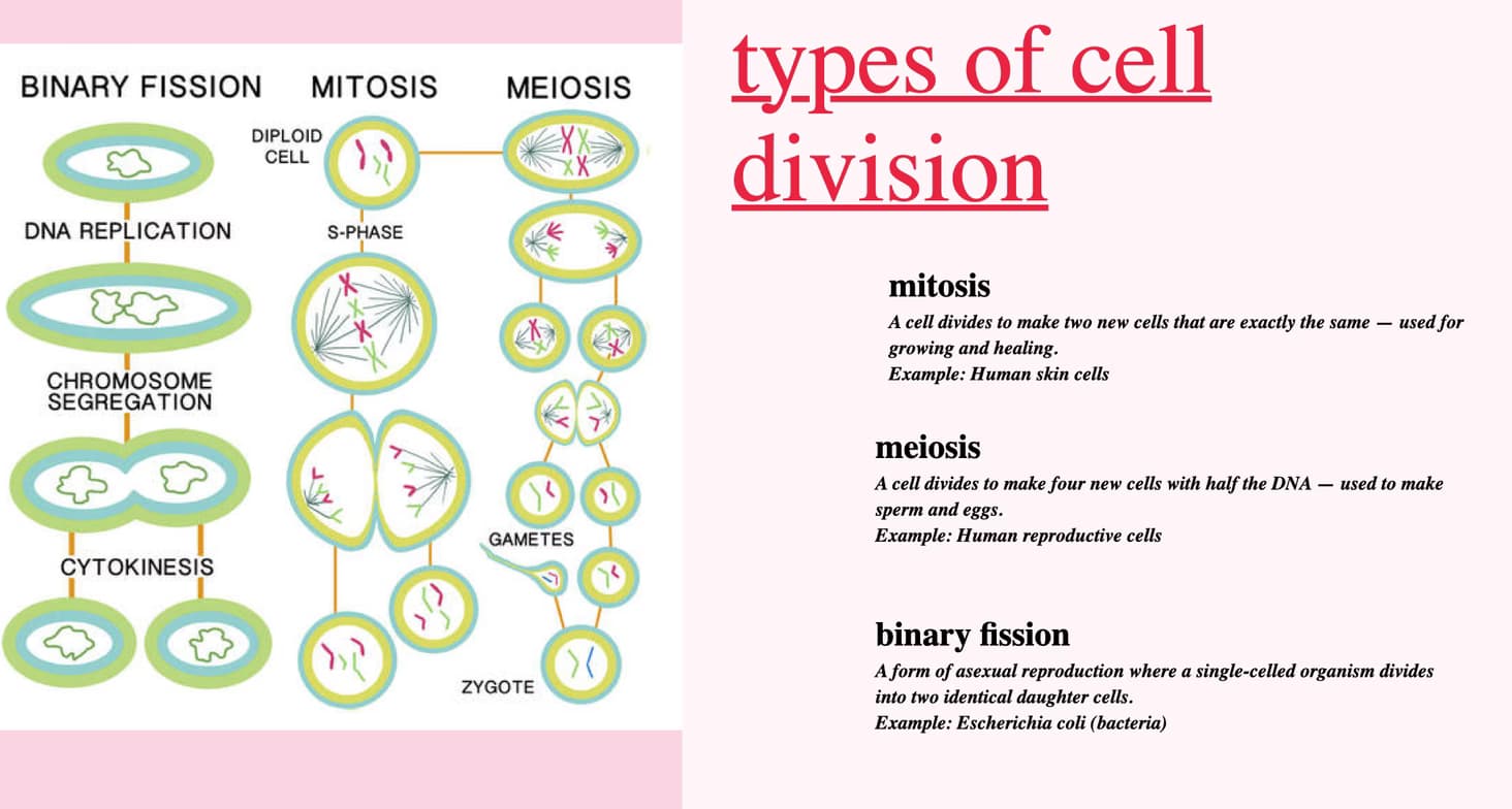 Biology learning materials by Fariha 