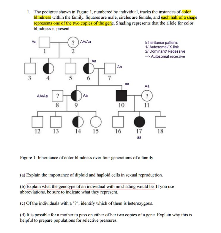 AP learning materials by Evelyn 