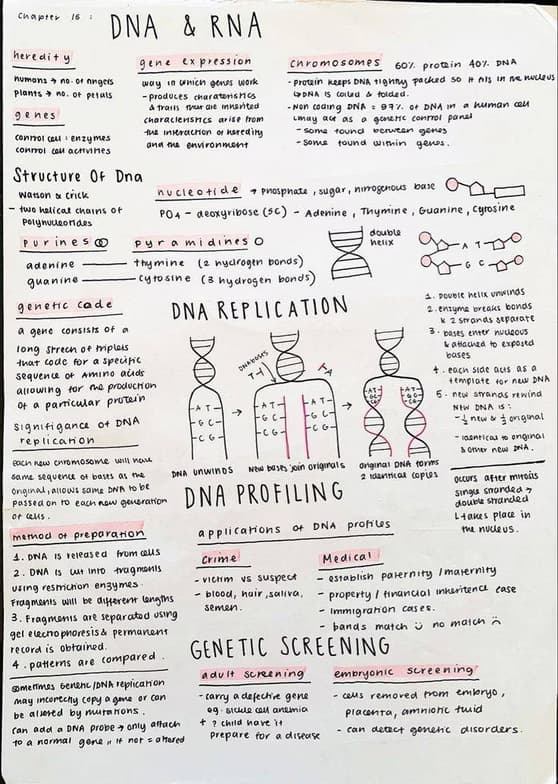 AP learning materials by Blaine 