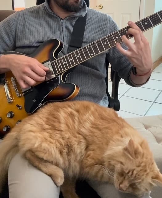 Casual photos of Hector, Wiingy tutor