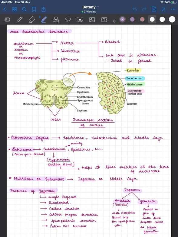 Live performance with Biology by Noor