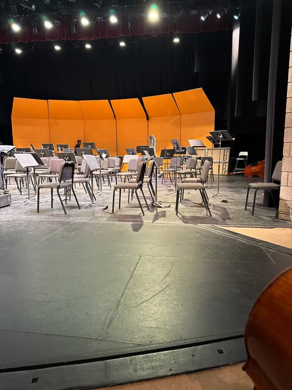 Profile photo of Krystal, Violin tutor at Wiingy 