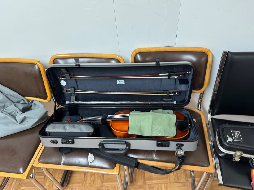 Profile photo of Krystal, Violin tutor at Wiingy 