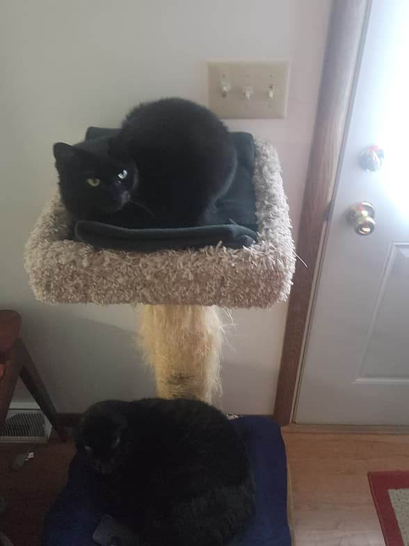 Ericenjoying a hobby outside teaching 