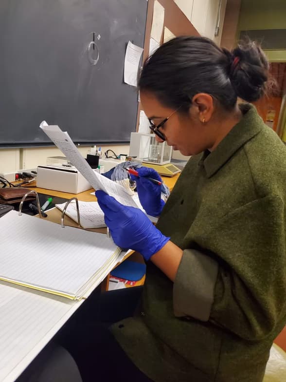 Live performance with Physics by Navneet 