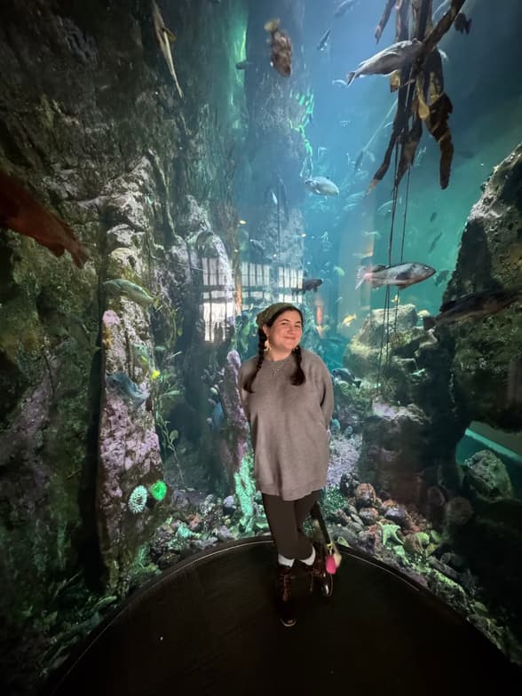 Travel snapshot of Bella during a trip 