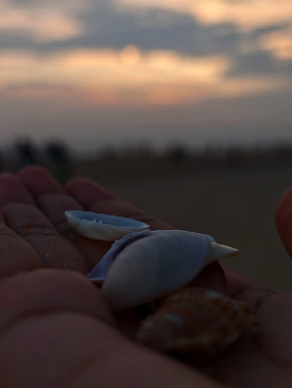 Travel snapshot of Hosanna during a trip