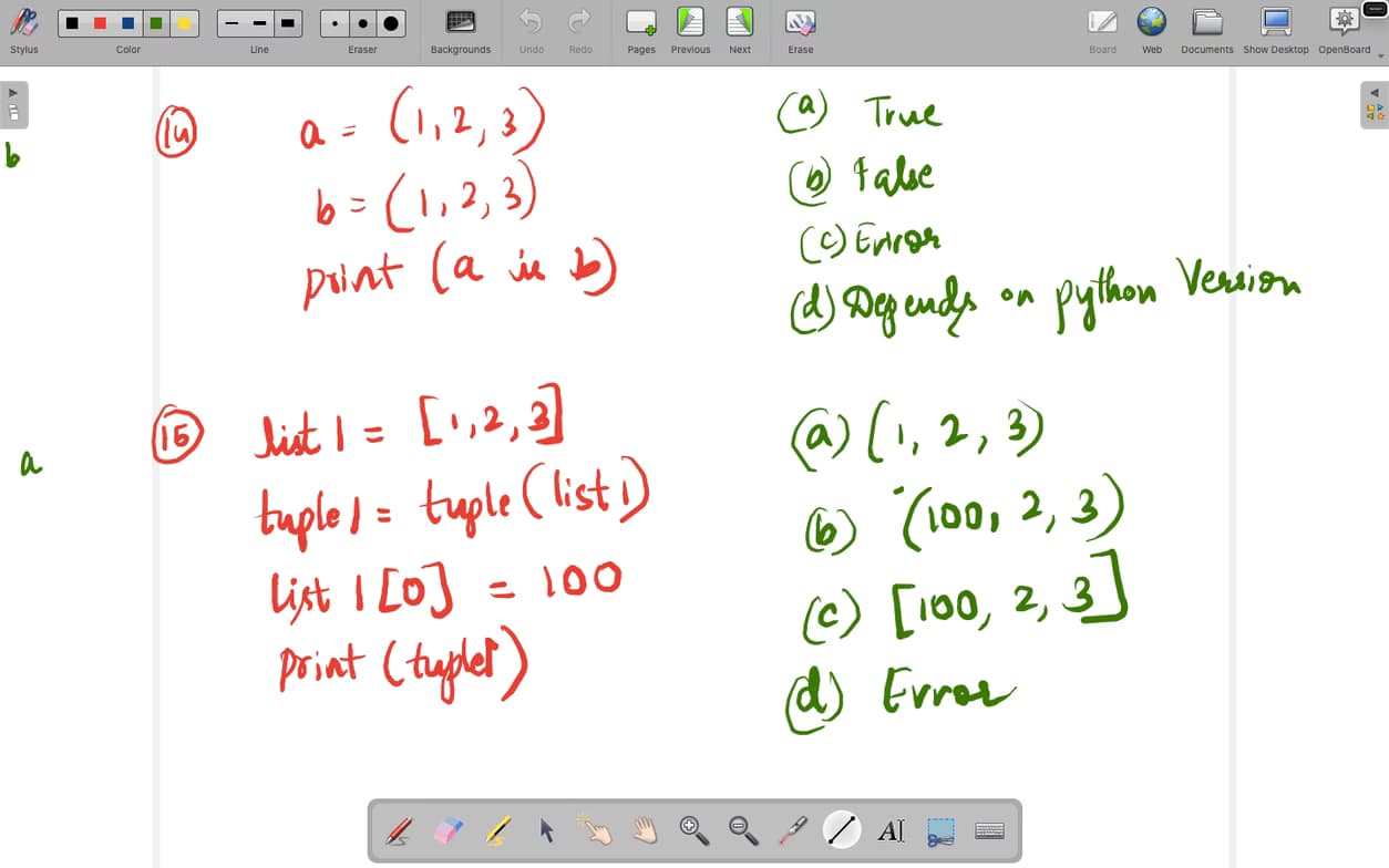 Lakshmishree conducting a lesson 