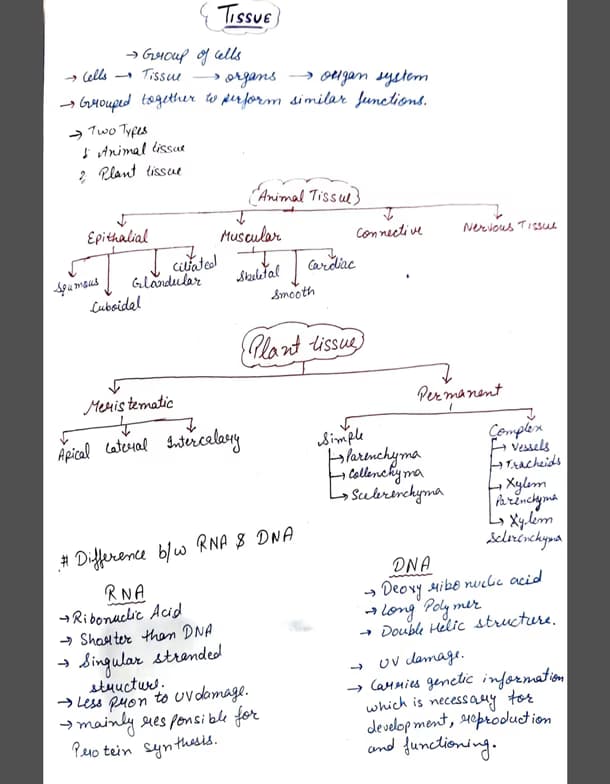Biology learning materials by Priyanka  