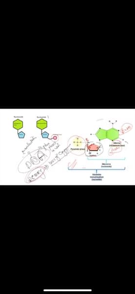 Biology learning materials by Gunjit 