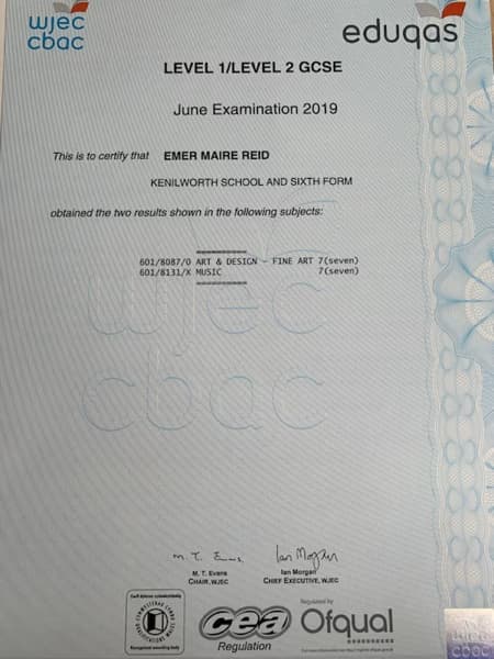 Verified degree or teaching certification of Emer 