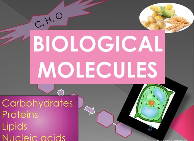 Biology learning materials by Benjamin 