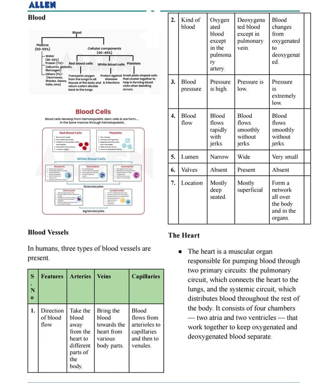 Live performance with Biology by Gracy  