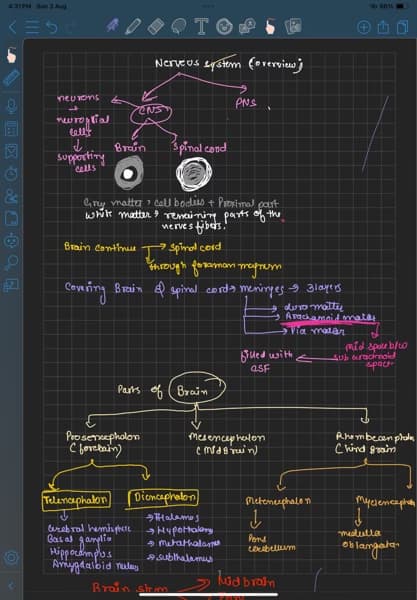 Live performance with Science by Aanchal