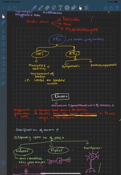 Live performance with Science by Aanchal
